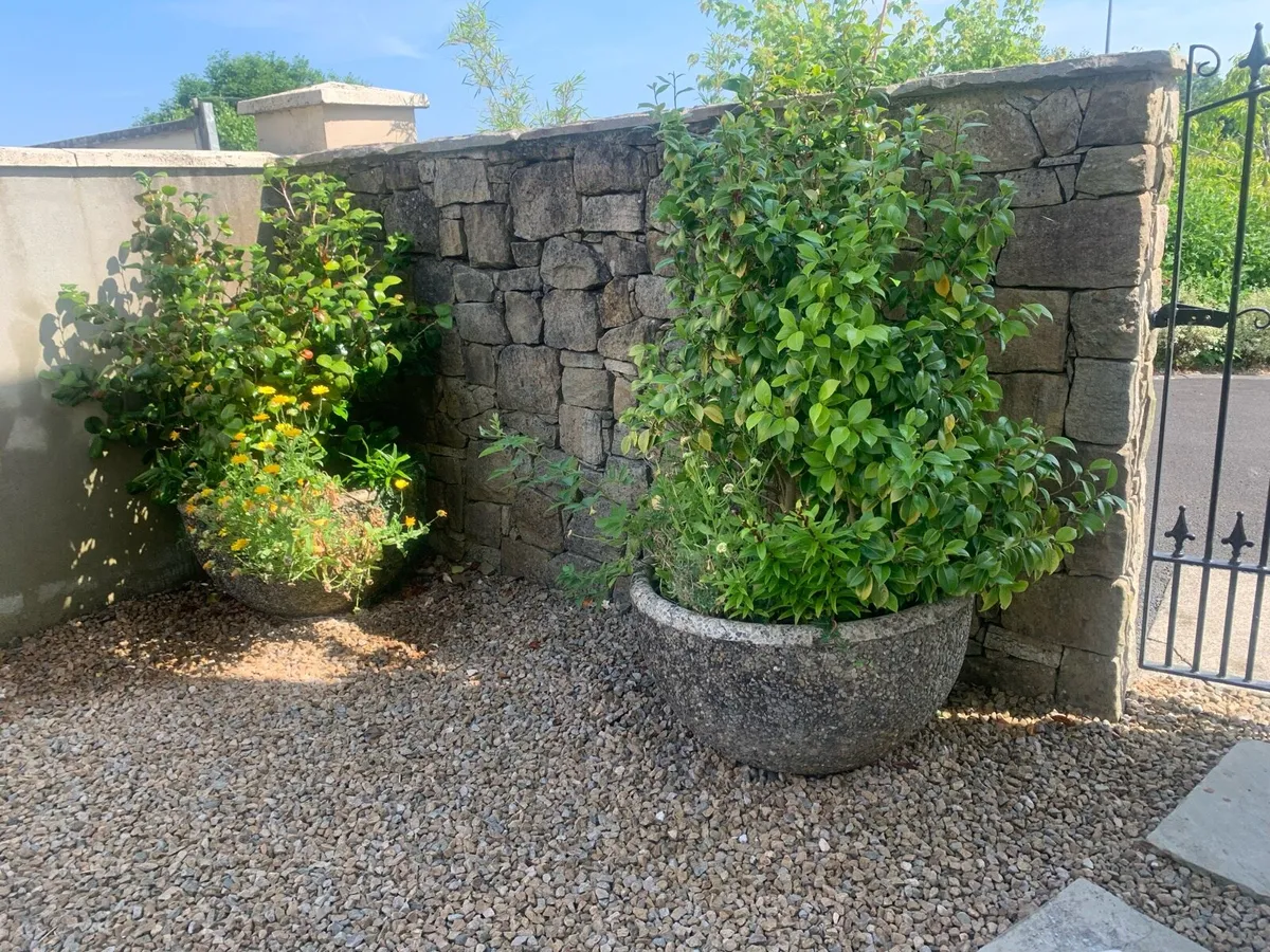 Concrete Pots - Image 1