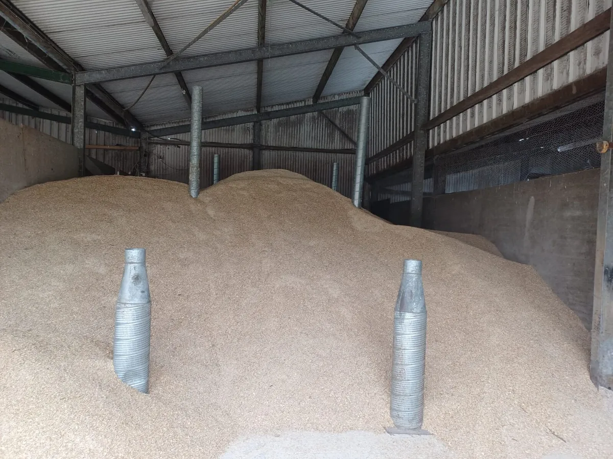 Grain cooling / drying fans and pedestals - Image 2