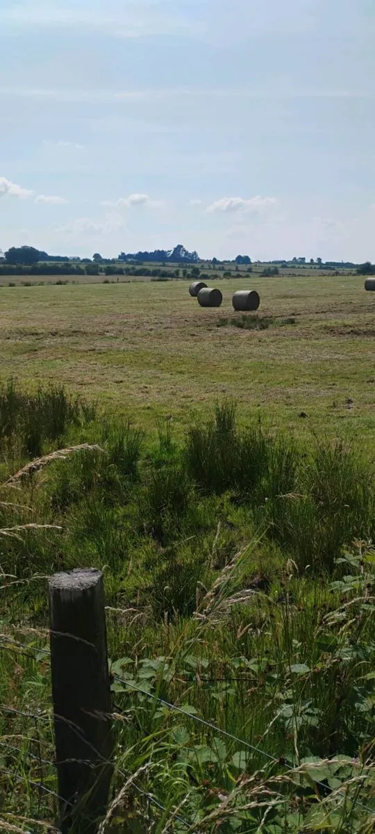 Bedding - Image 1