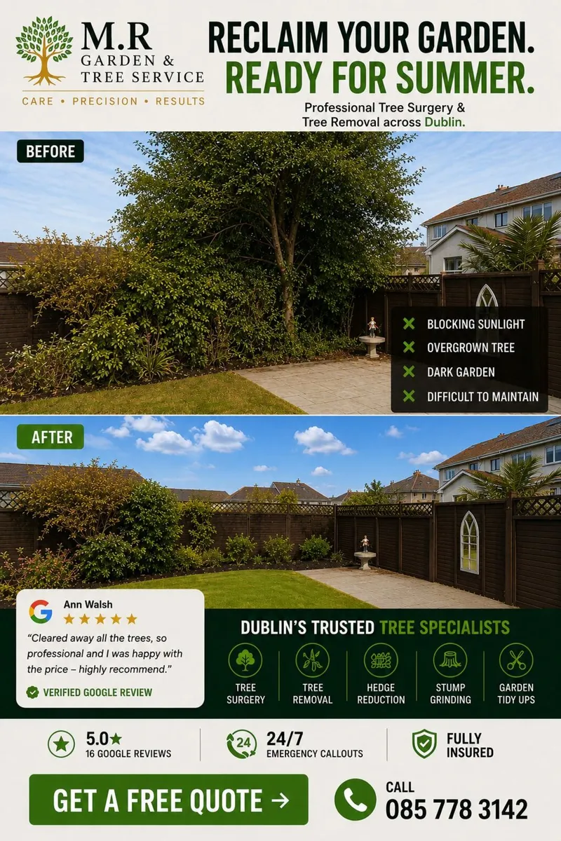 At MR Gardening & Tree Service - Image 2