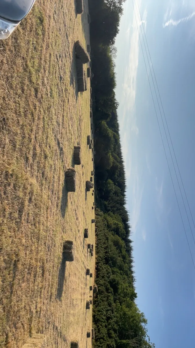 Small square bales - Image 1