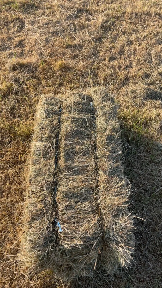 Small square bales - Image 2