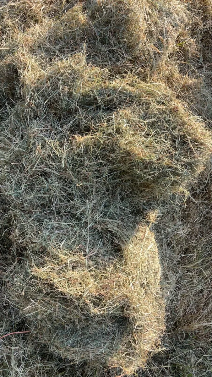 Small square bales - Image 3