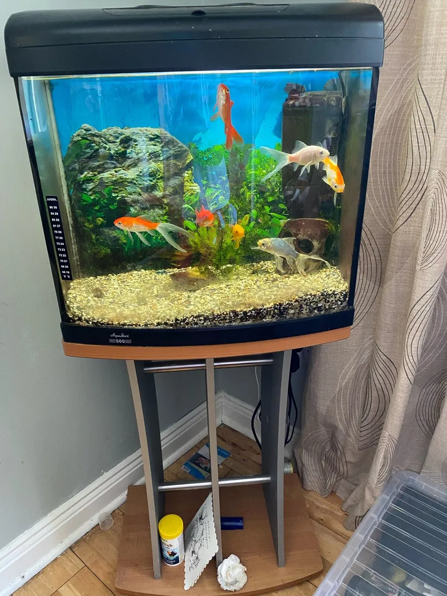 Fish tank - Image 2