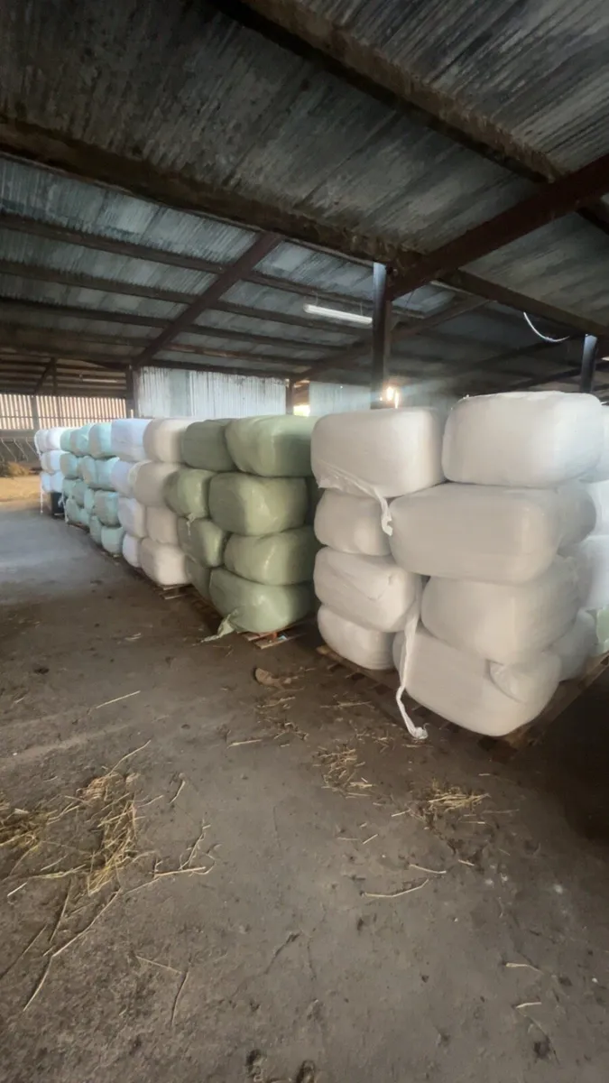 Top quality haylage - Image 4