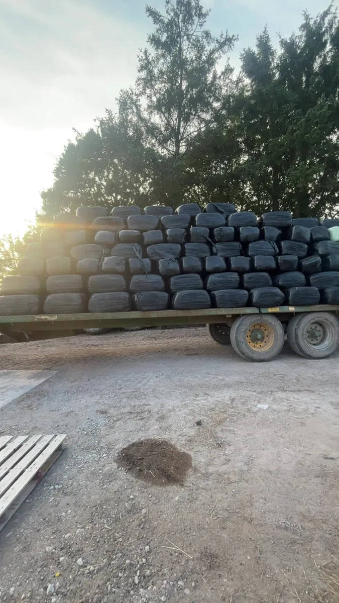 Top quality haylage - Image 1