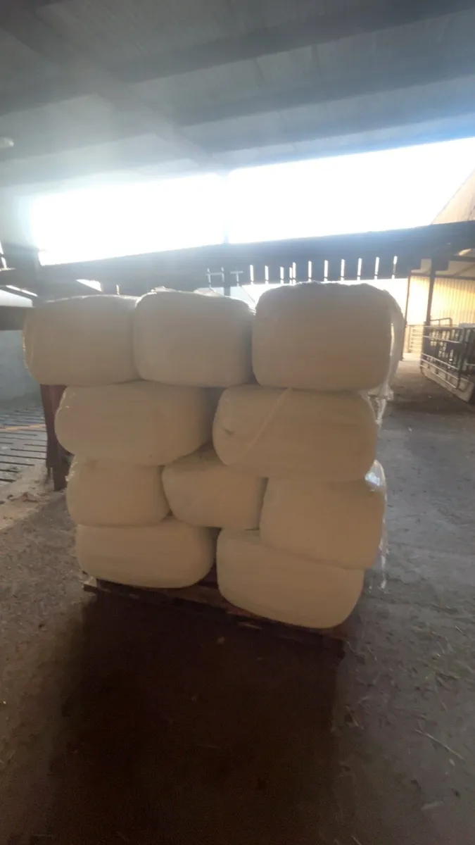 Top quality haylage - Image 2