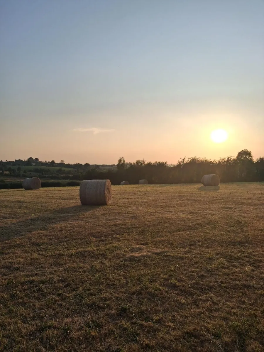 Quality round bales of hay