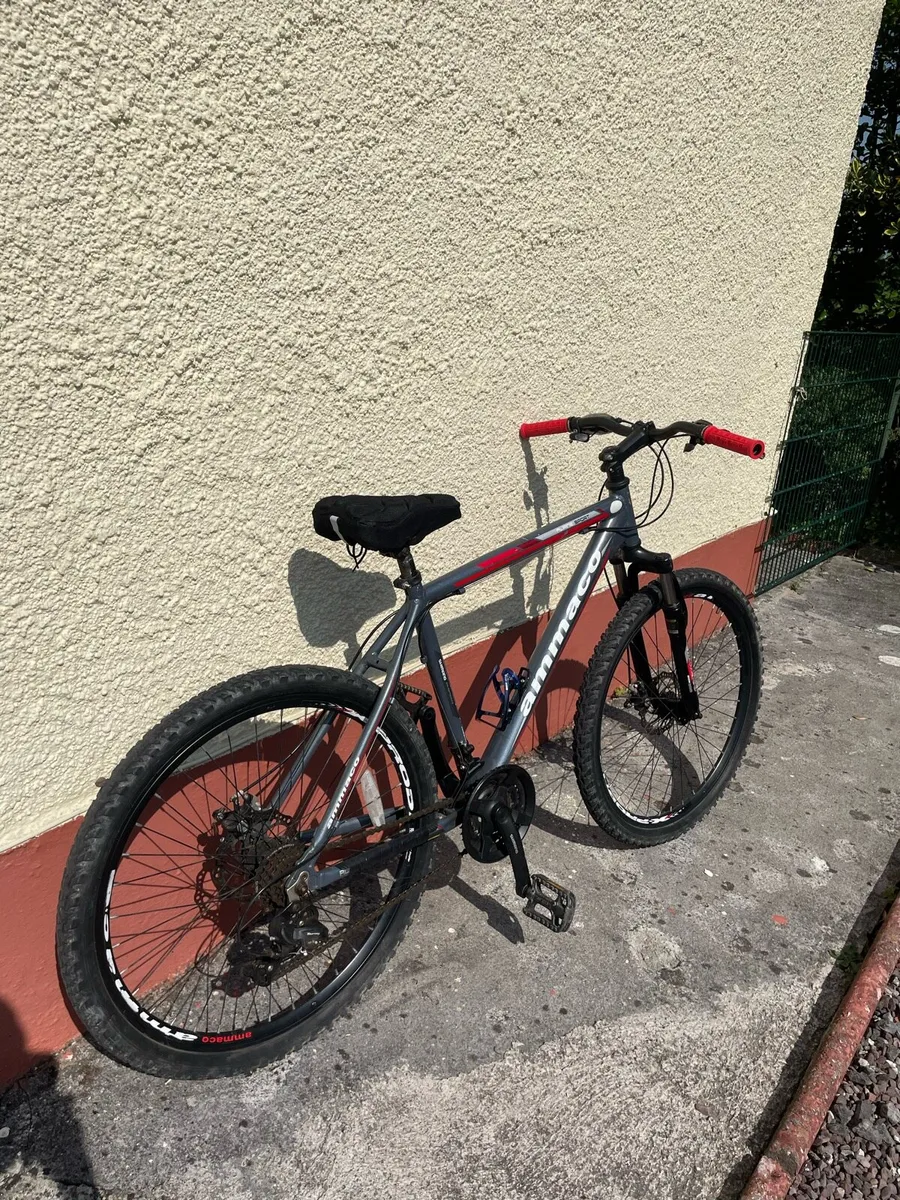 Mountain bike - Image 1