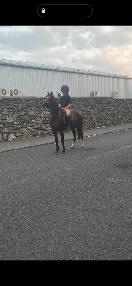 Pony - Image 2