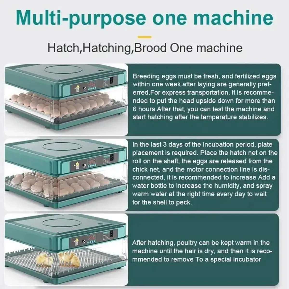 24 Egg Incubator with Automatic Egg Turner - Image 2