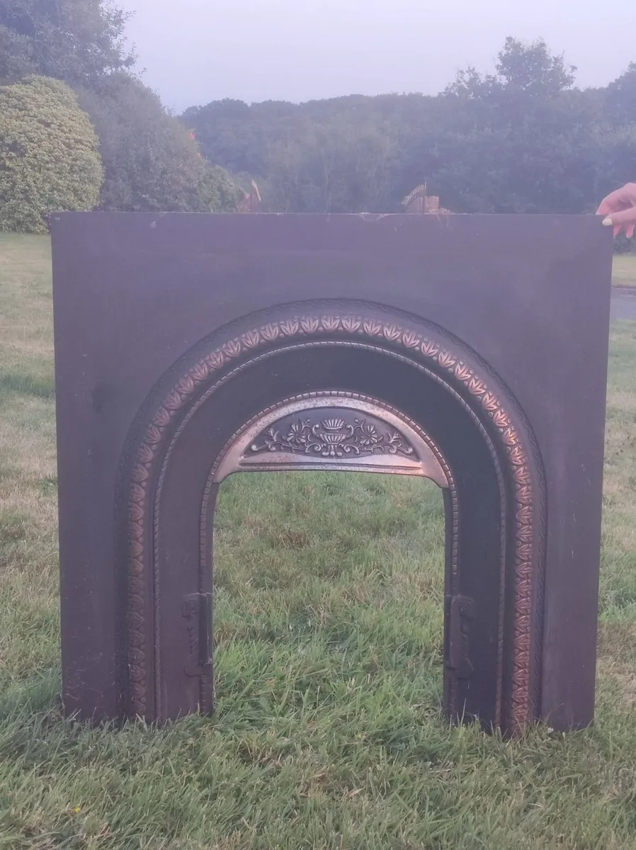 Fireplace insert