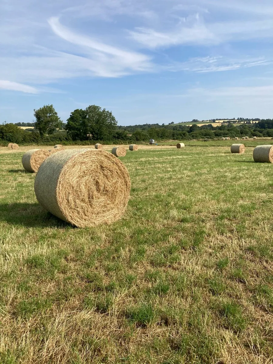 Hay (round) - Image 3