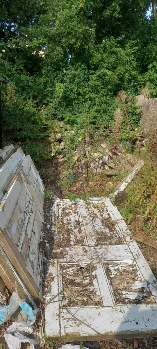 Firewood - Image 1