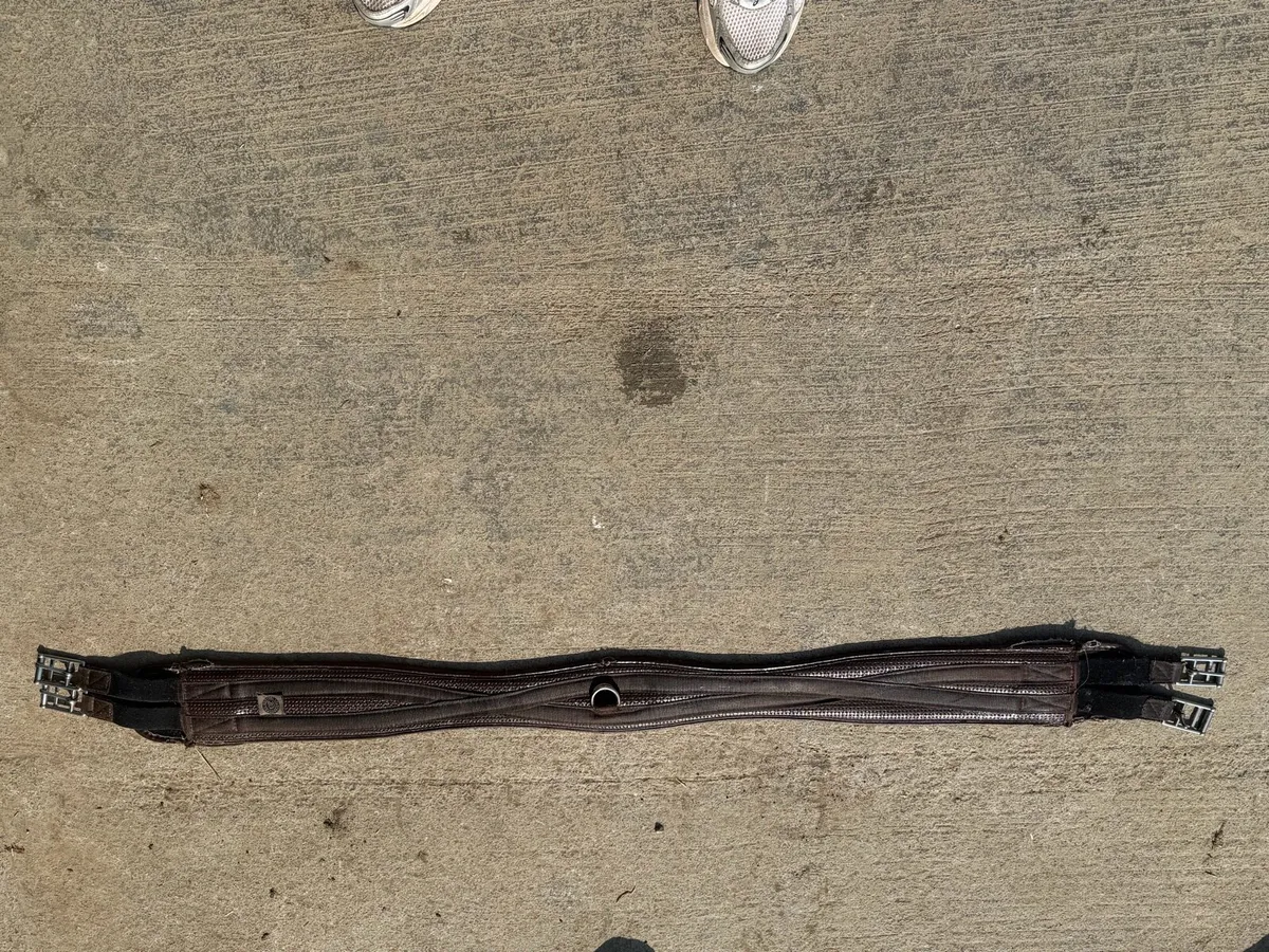 Brown girth - Image 1