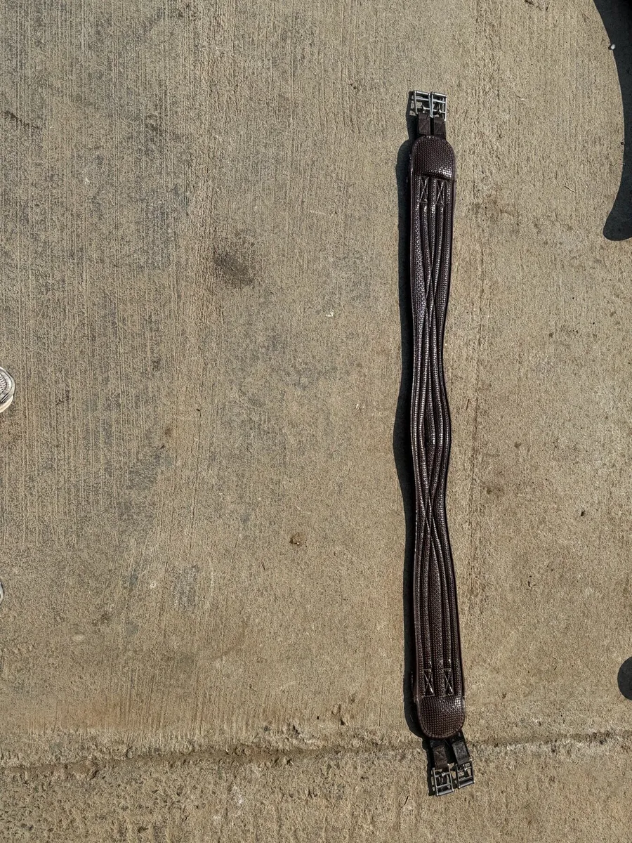 Brown girth - Image 2