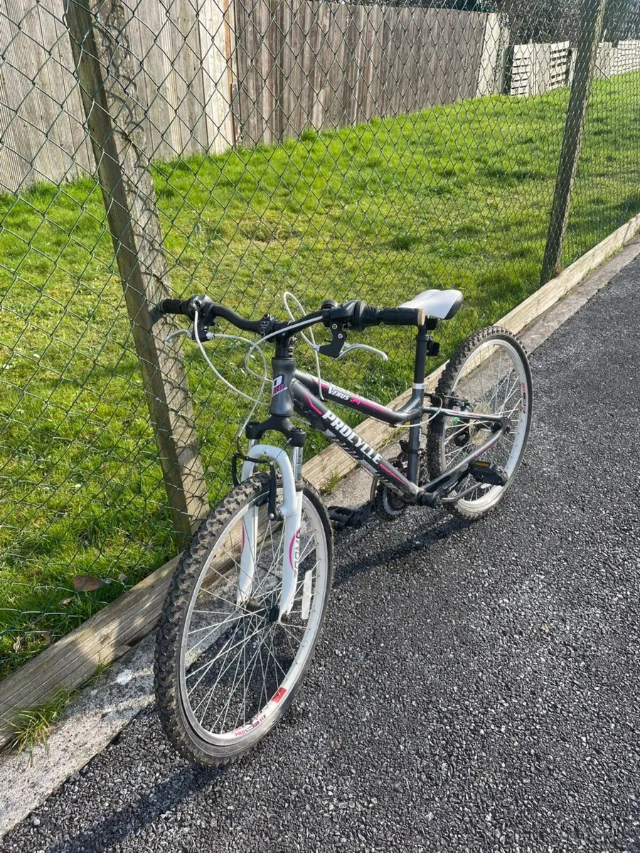 Bikes - Image 4