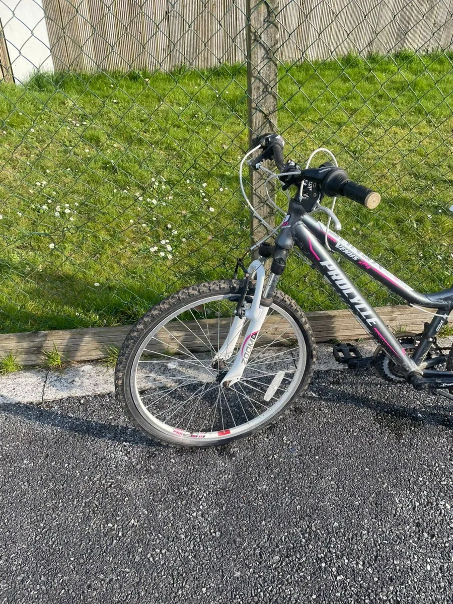 Bikes - Image 1