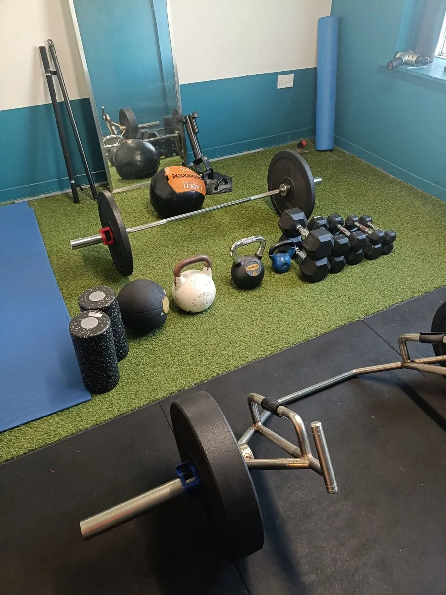 Home gym or commercial - Image 1