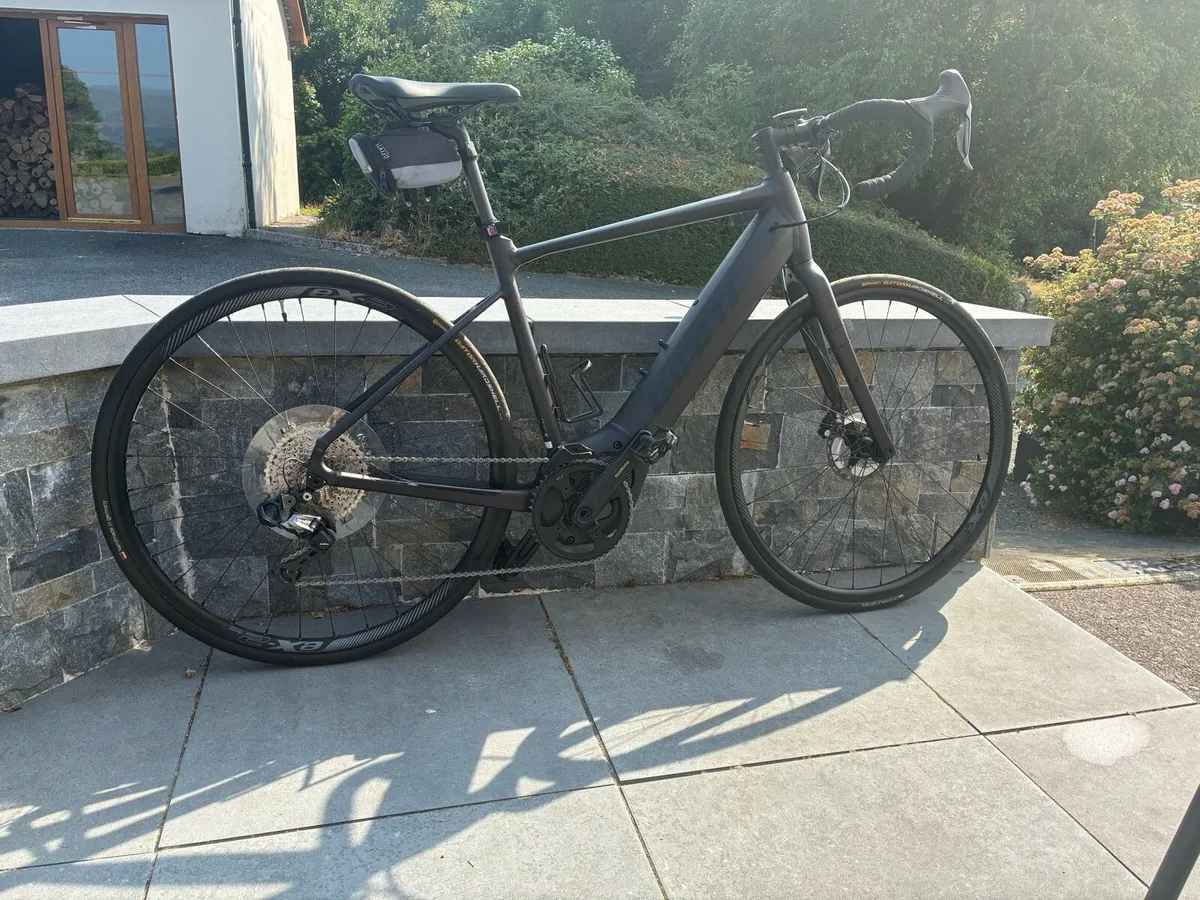 Electric bike - Image 1