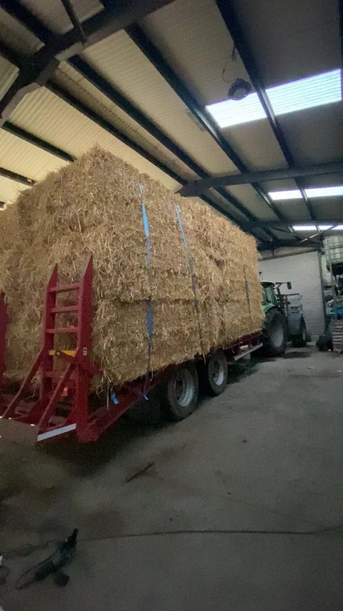 Wheaten straw 8x4x3!!! - Image 1