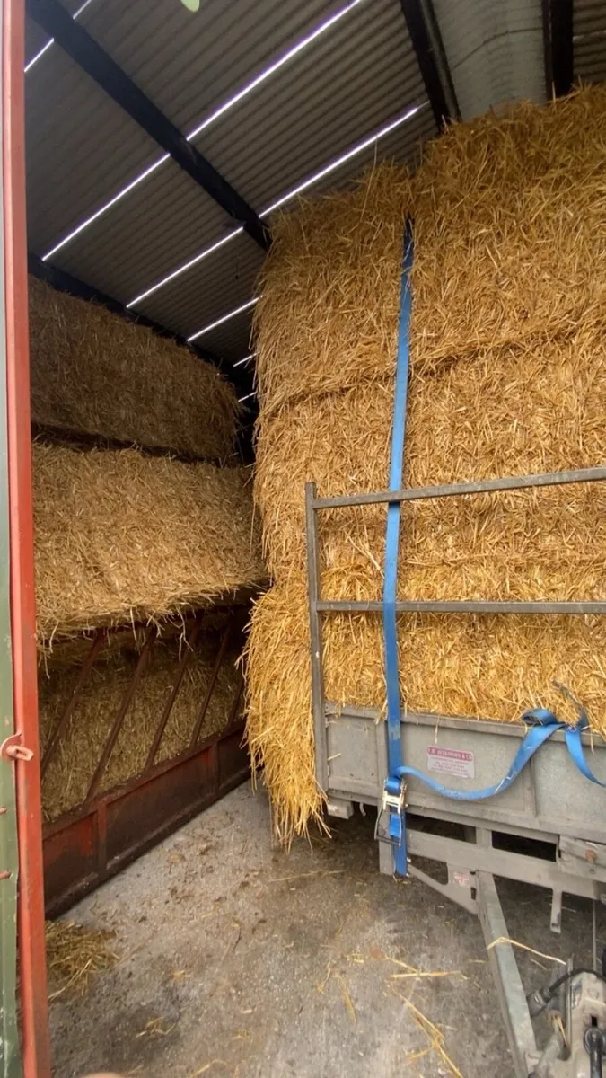 Wheaten straw 8x4x3!!! - Image 2