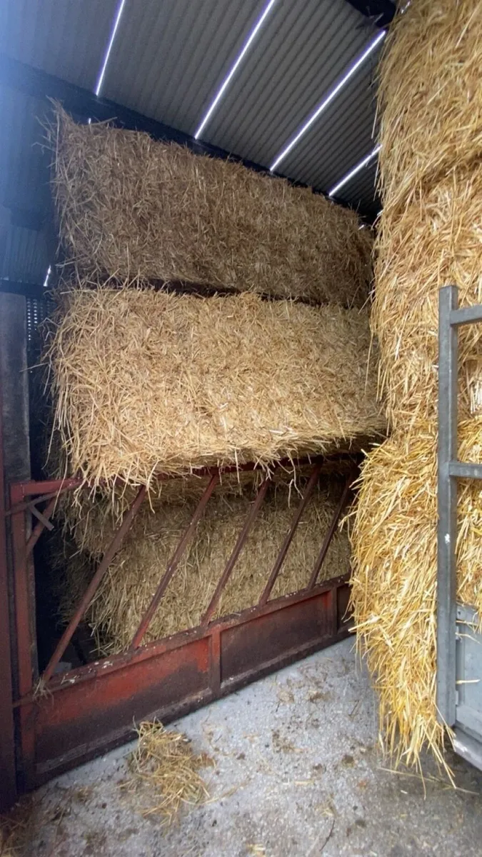 Wheaten straw 8x4x3!!! - Image 3