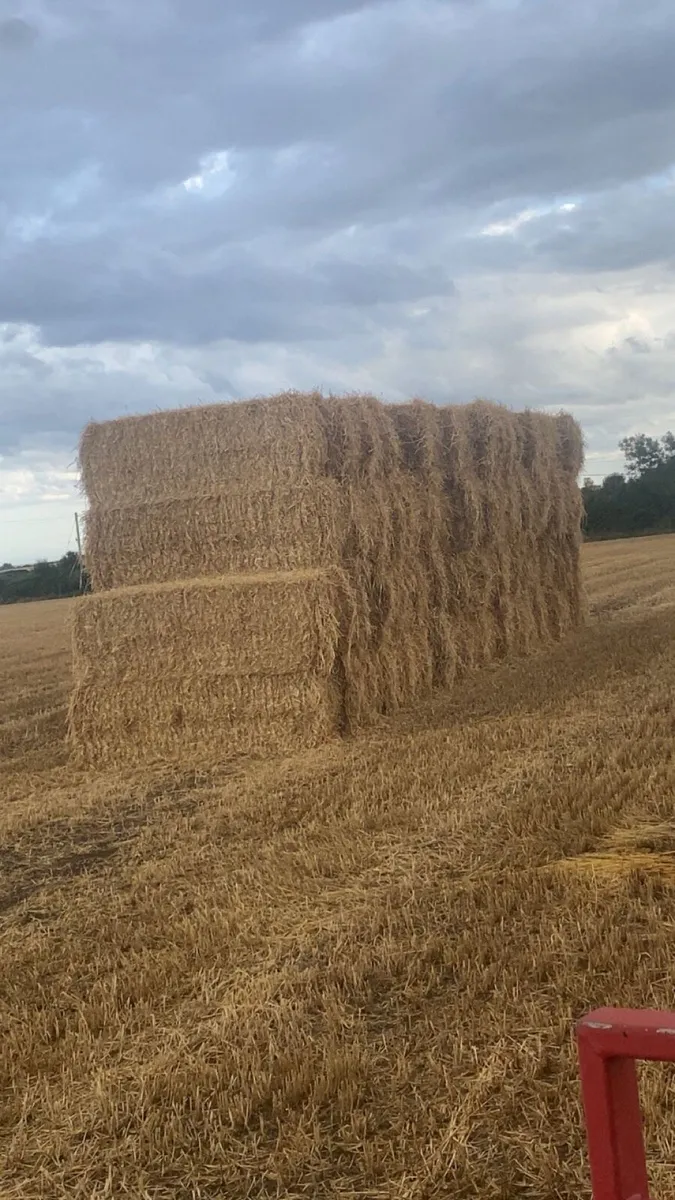 Wheaten straw 8x4x3!!! - Image 4