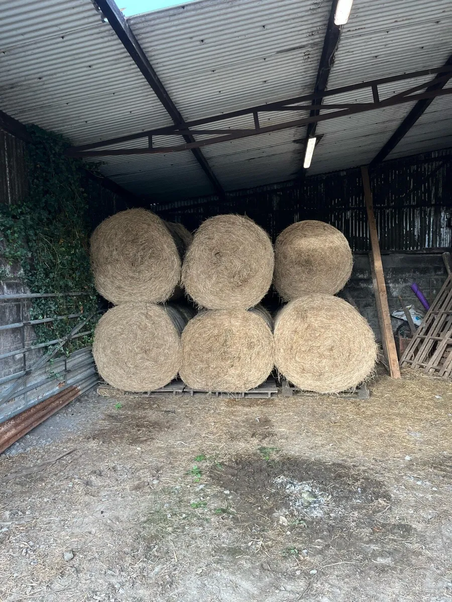 Hay for sale