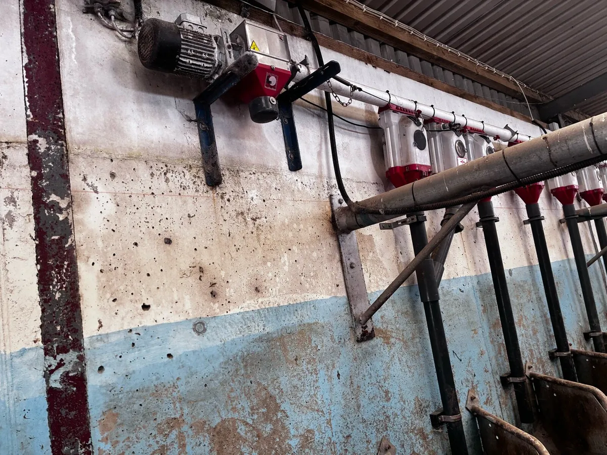 Making machine - Image 2