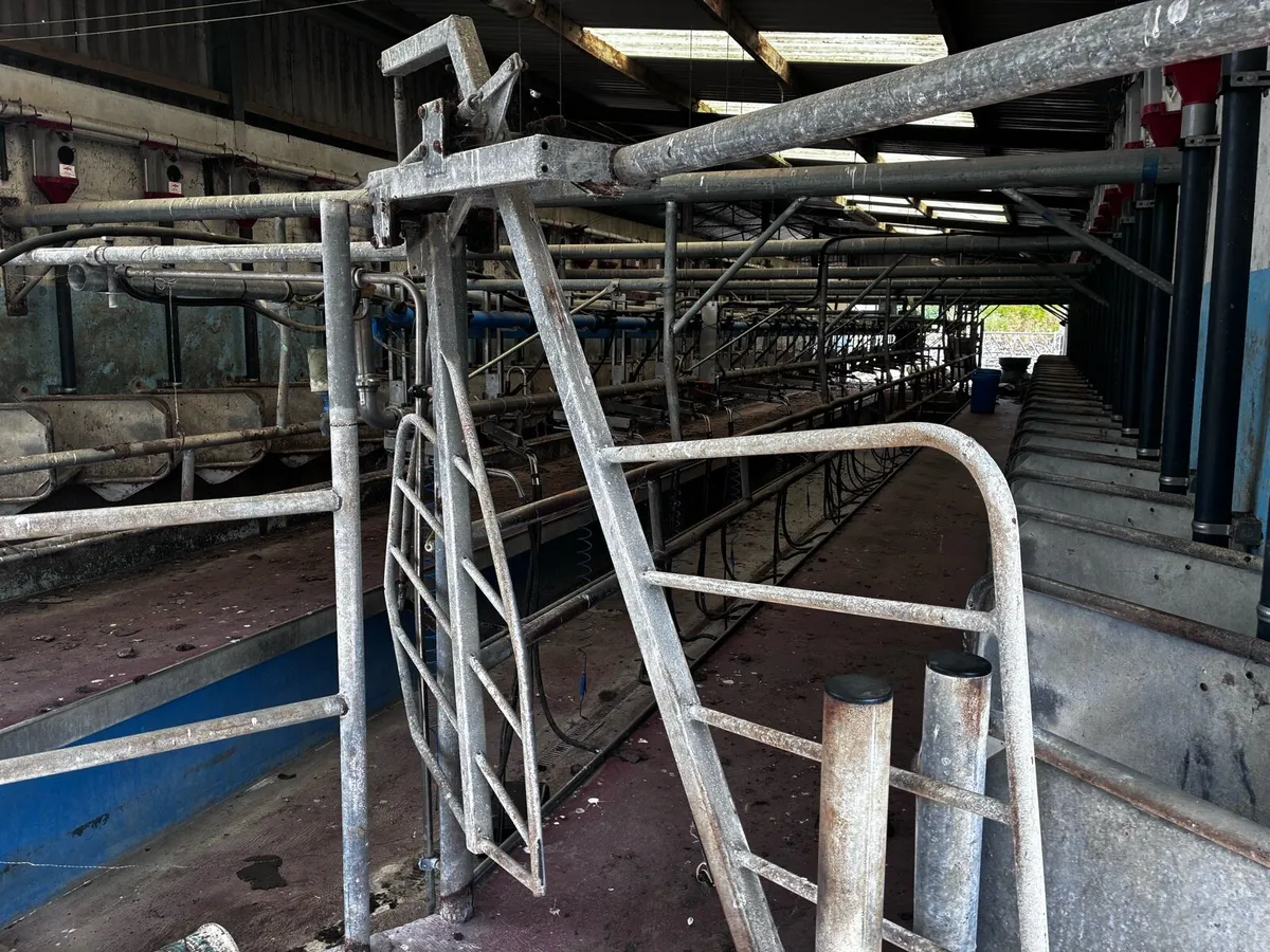 Making machine - Image 3