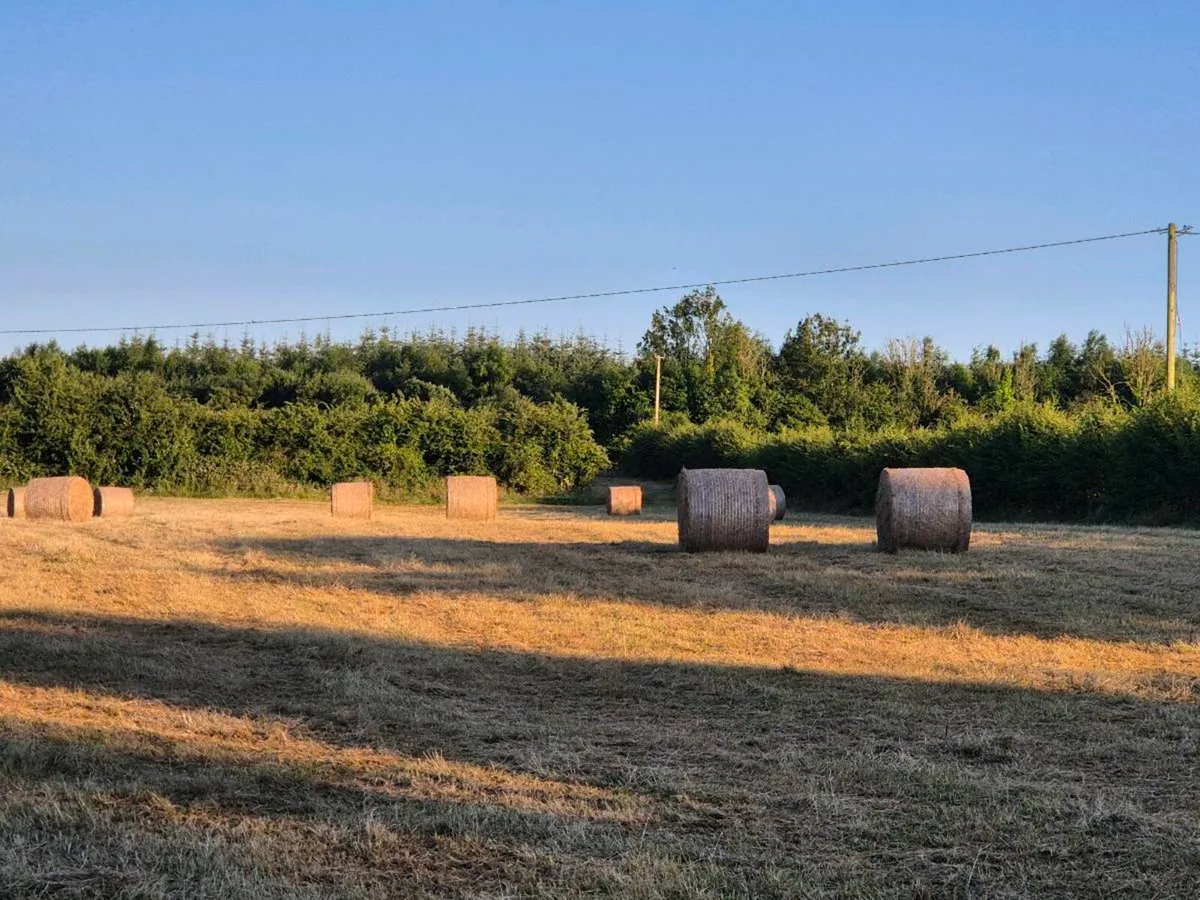 Hay Bales - Image 3