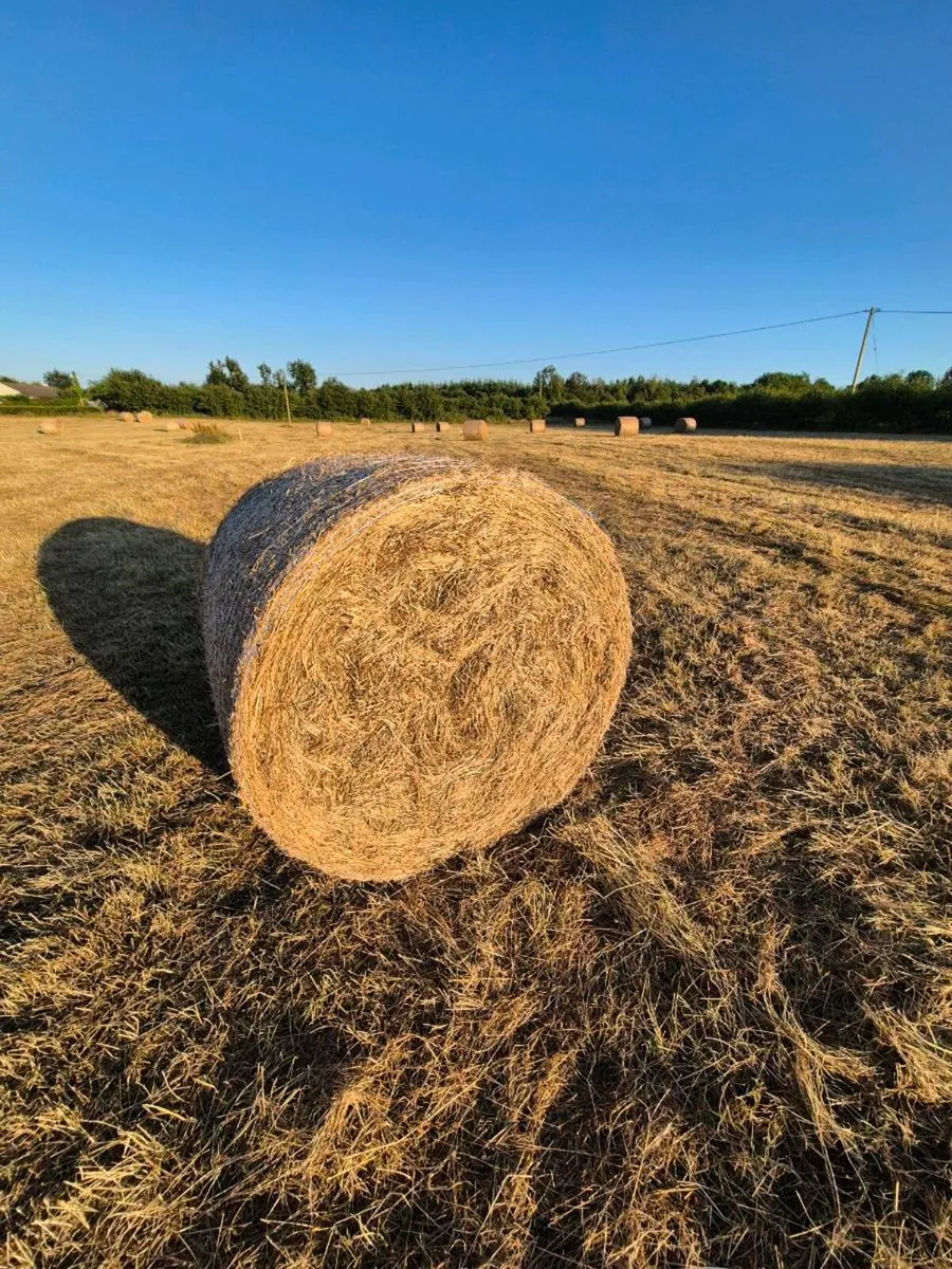 Hay Bales - Image 1