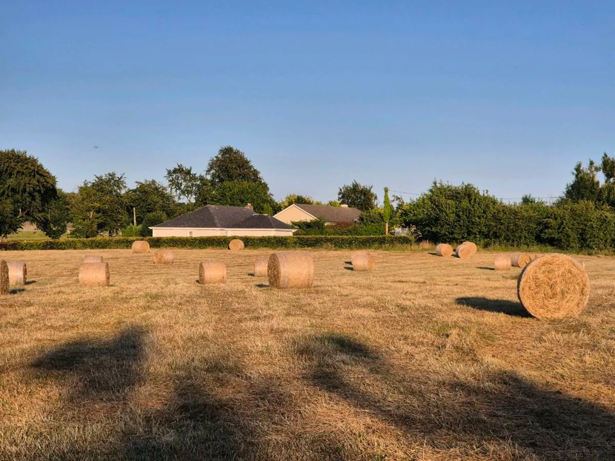 Hay Bales - Image 2