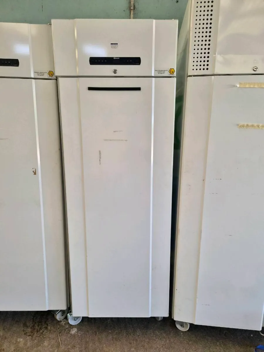Gram laboratory fridge - Image 1