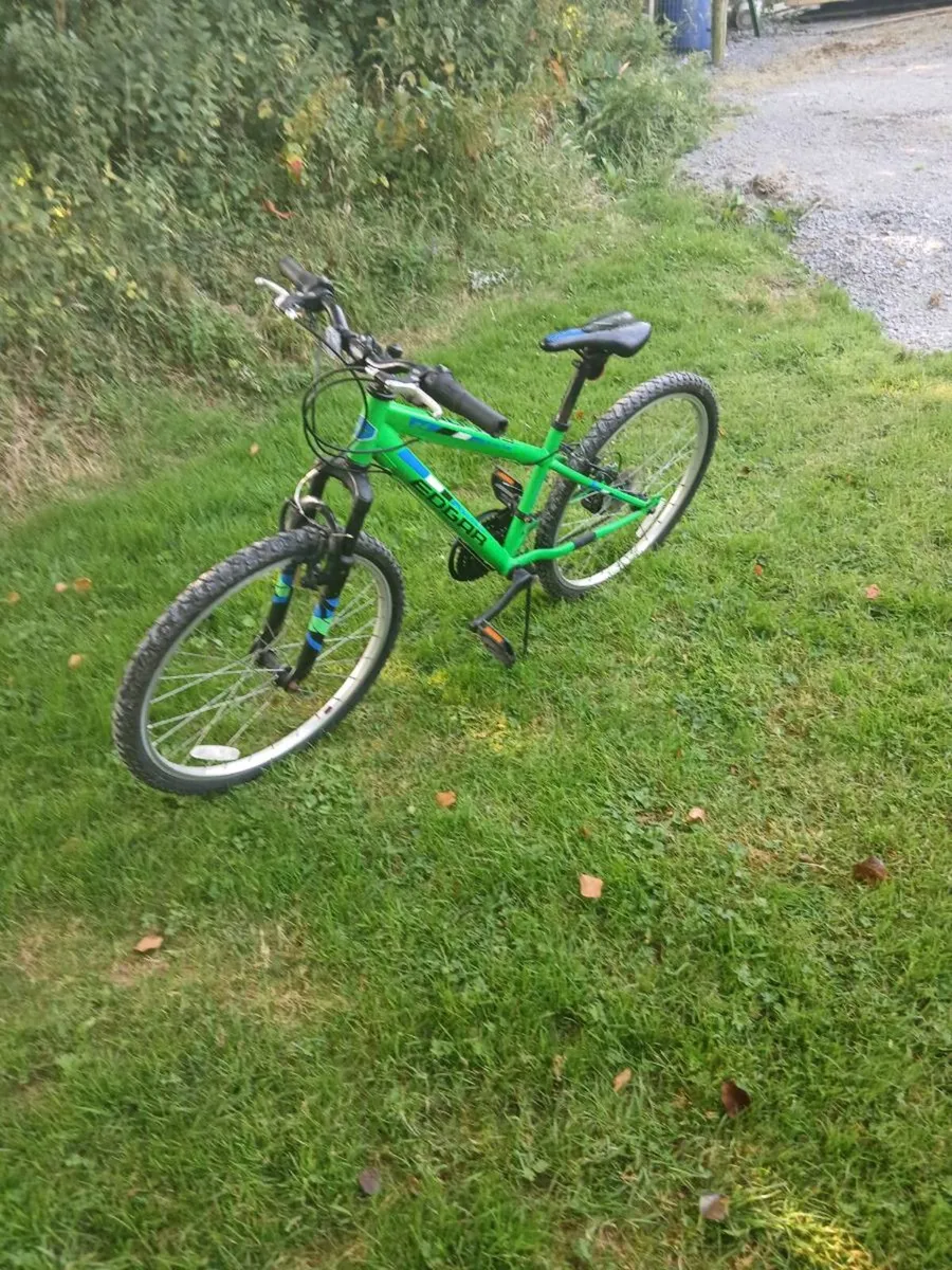 Bike - Image 1