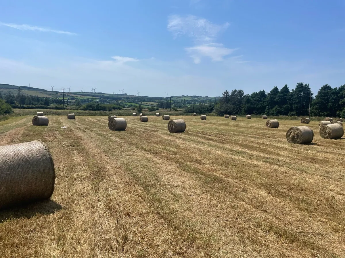 Round bales of Hay - Image 3