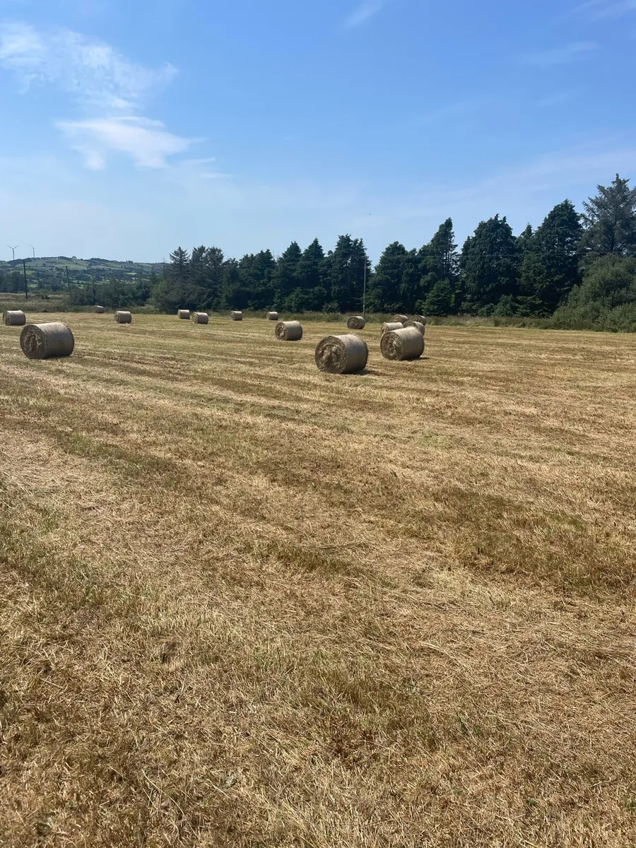 Round bales of Hay - Image 4