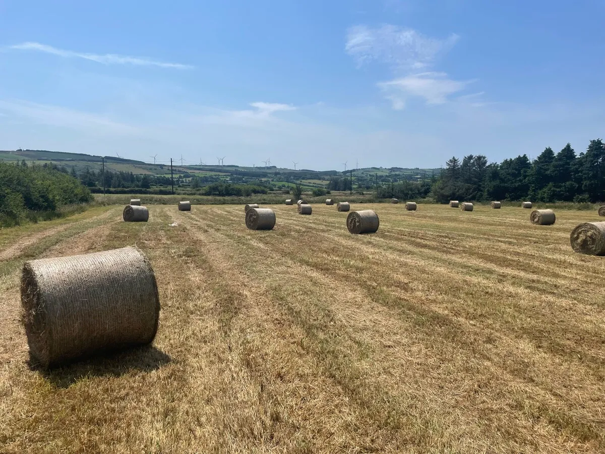 Round bales of Hay - Image 1