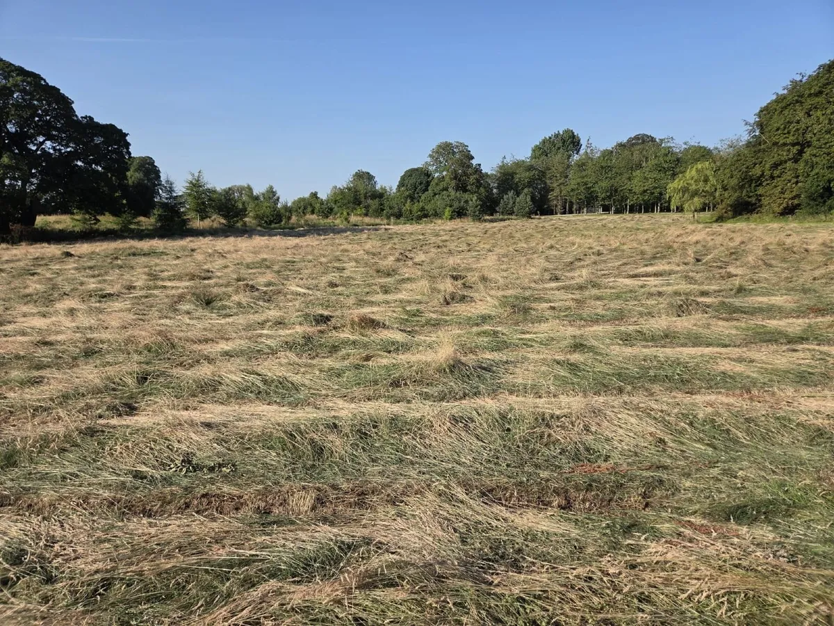 Haylage for sale - Image 1