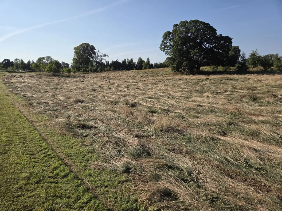 Haylage for sale - Image 2