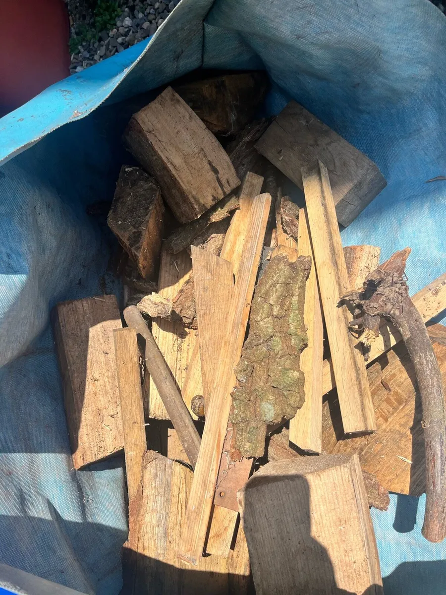 Big bundle of fire woods - Image 4