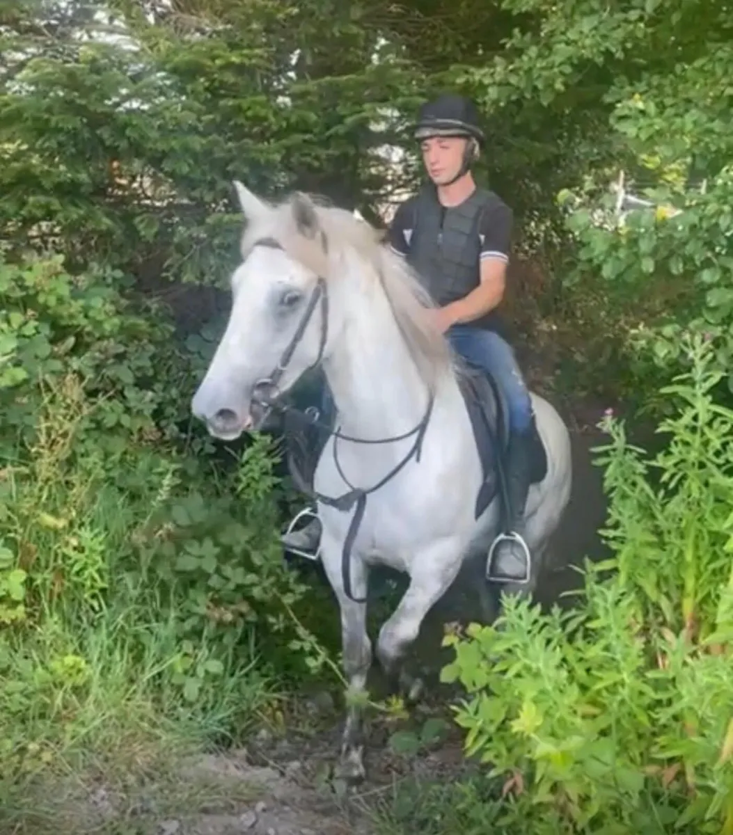 Connemara - Image 3