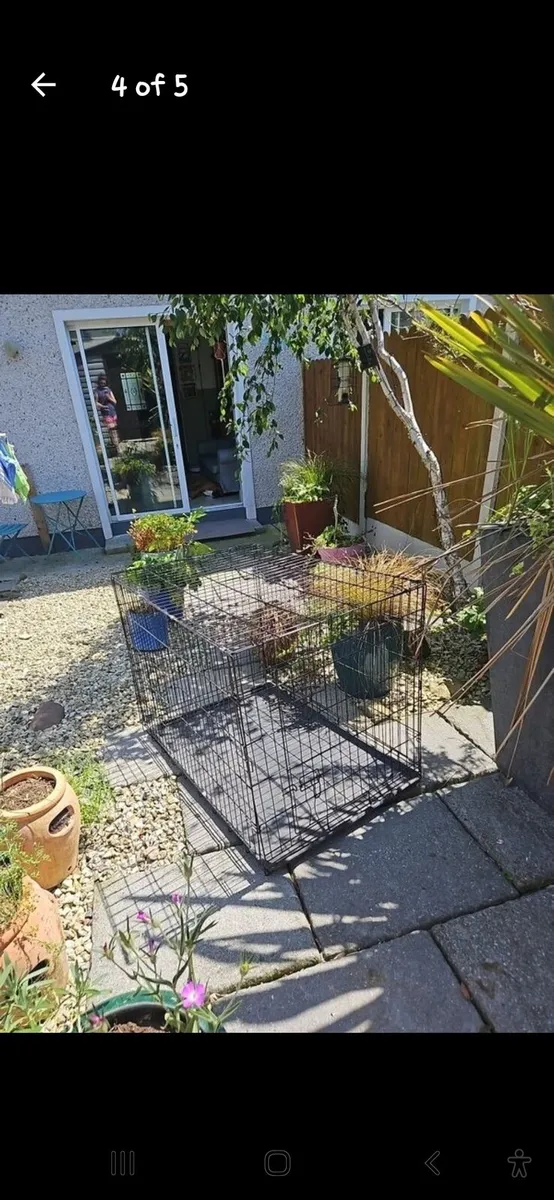 Dog Crate - Image 2