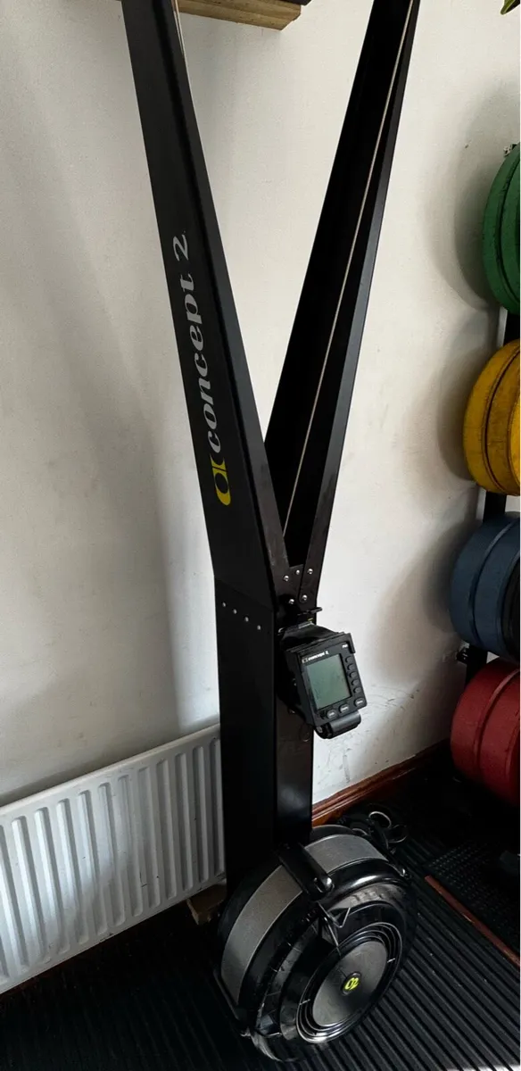 Concept 2 Ski Erg - Image 1