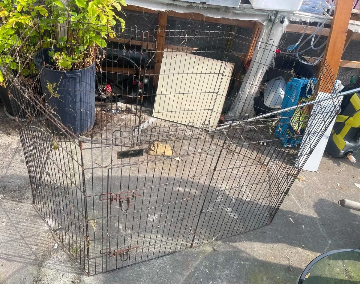 animal enclosure