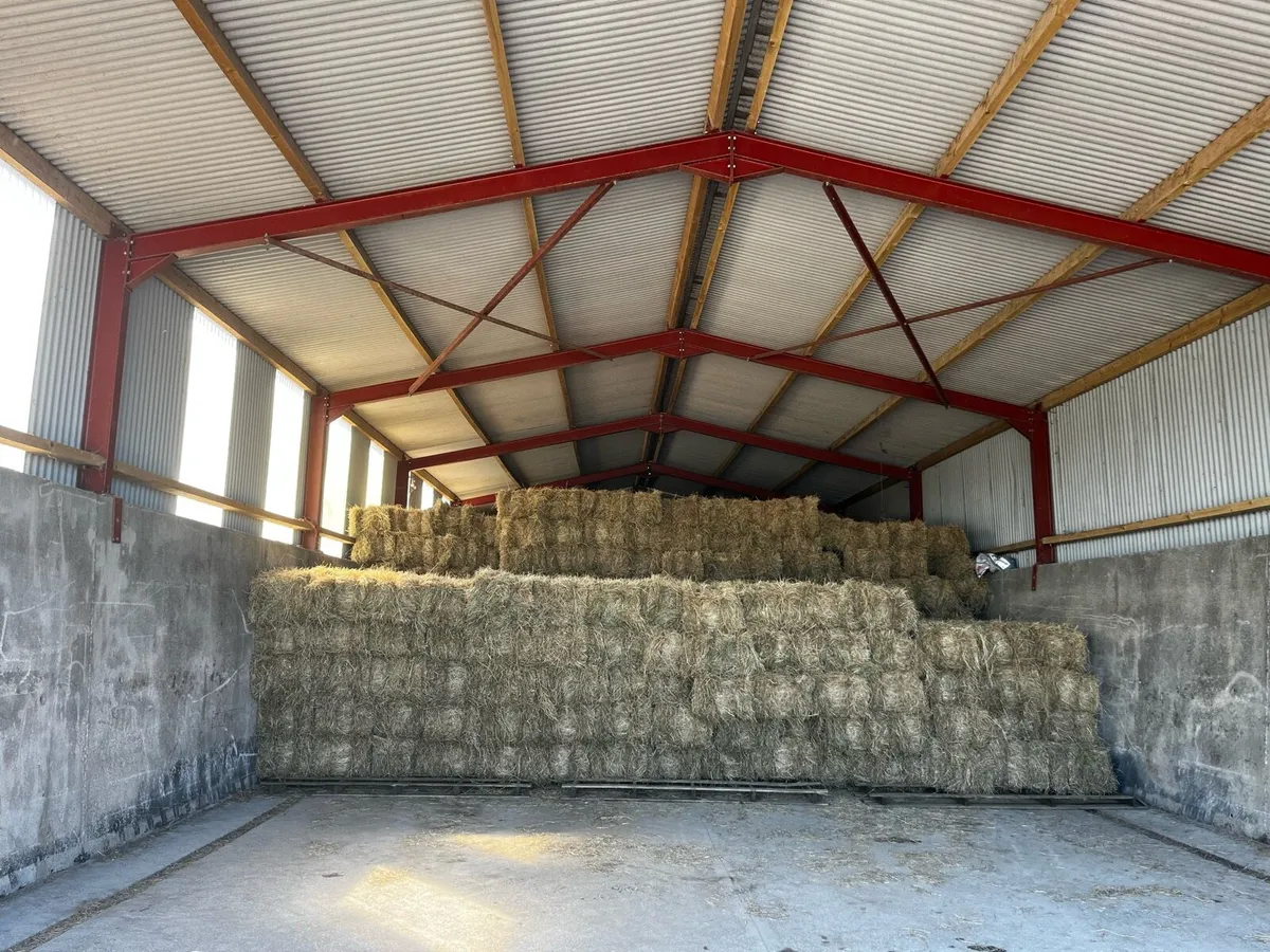 Hay square bales - Image 1