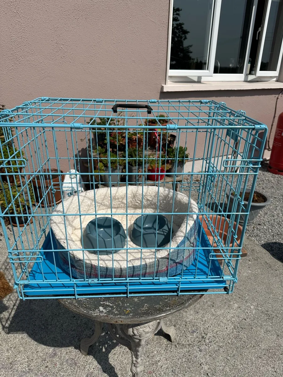 Dog crate bed and 2 bowls - Image 1