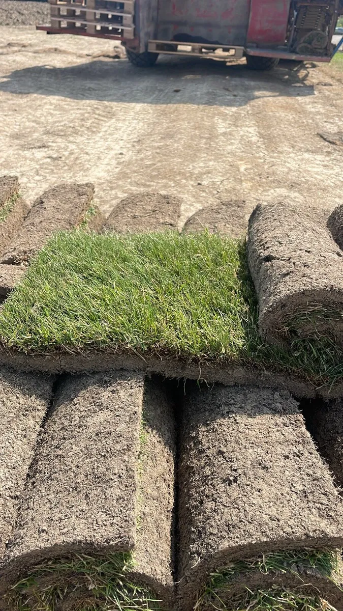 Roll out grass - Image 1
