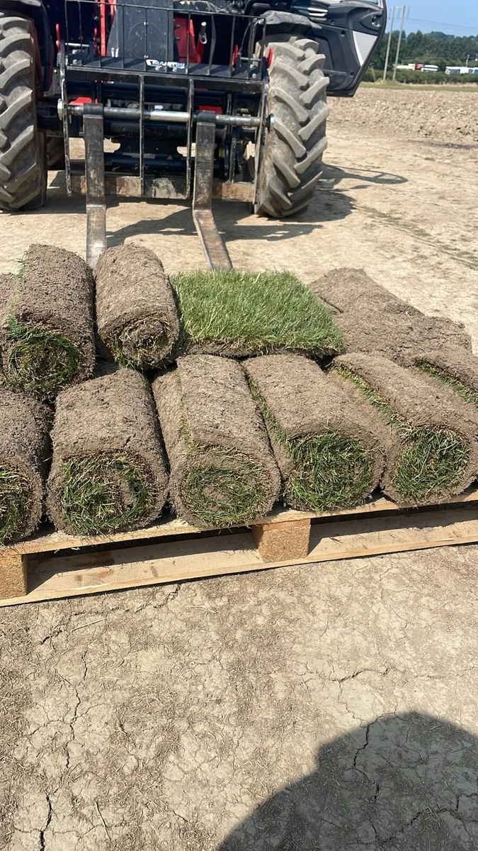 Roll out grass - Image 3
